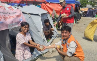 1000 Grapefruit for Earthquake Victims